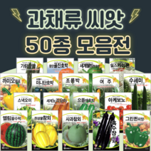 호박 단호박 수박 오이 씨앗 종자 50종 수세미 방울 토마토 파프리카 씨앗 여주 종자, 30. 얼스카이론멜론 100립