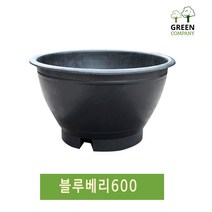 블루베리화분 600 대형화분 분갈이 텃밭 도로용 나무심기 옥상나무, 구멍 유(화분용), 블루베리700