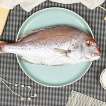 싱싱테이블 삼천포 자연산 반건조생선 설 선물세트 C, 다올1 제수용 선물 C세트, 다올1 본상품선택