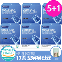 모유유래 유산균 bnr17 분말 가루 식약처 인증 비엔알17 비에날씬 다이어트 모유유산균 프롤린 락토바실러스가세리 해썹 [옵션4중택1], 모유유래유산균 5+1(6개월)+몬스터사은품