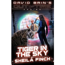 Tiger In The Sky Paperback, Lmbpn Publishing, English, 9781649712882