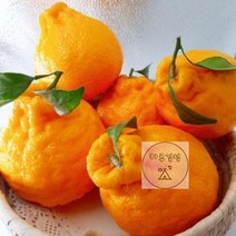 3kg(가정용) 제주특산물 한라봉 벌크 소과, 상세페이지 참조
