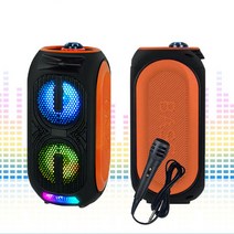 체육관스피커 블루투스 LED 듀얼앰프 행사용스피커 노래방스피커 P101 마이크포함, P101 스피커