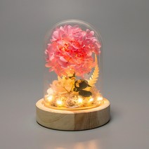 레토 유리돔 프리저브드 수국 생화 LED무드등 LML-PF01