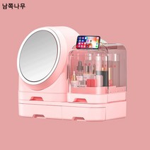 선풍기 화장품 수납함 왕홍 대용량 립스틱 마스크 시트 스킨케어 테이블 정리 세트 선반, 2021(드림파우더) 스탠다드(미러)
