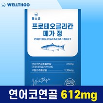 웰스고 프로테오글리칸 메가 정 360mg 프로태오글리칸 연어코연골 추출물 프로테오클리칸, 1개, 600mg, 60정