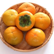 창원단감 5kg 김맹차단감 아삭단감 고당도
