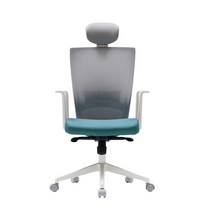 시디즈 T50 라이트 메쉬 사무용 의자 컴퓨터 게임 코스트코, 블루