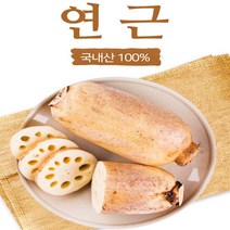 국내산 연근 흙연근 통연근 행사가, 4kg, 1개