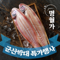 [특가행사] 반건조 군산 박대 서대 말린 생선 구이용 조림용 진공포장, [초왕특대] 37cm 내외 5마리, 5개