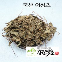 (강원약초) 국산 어성초 300g 국내산 무농약 어성초 충남 보령 청정지역 해풍 맞고 자란 어성초 청룡사 스님이 직접재배 2023년 5월 채취 햇것 자연건조