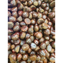 겨울 간식 달달한 약 단밤 생율 밤, 약단밤 2kg, 1개
