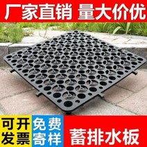 드레인보드 벽체배수판 벽배수판 지하배수판 지붕 물 필터 보드 실용적인 뿌리 저항 환경 보호 방수 녹화 현대, 03/C58-C89-0.5m*0.5mH5cm 신소재
