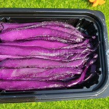 낚시킹 띠용 오징어 미끼 3. 미스테리 퍼플 염장 선상 열기 우럭 원투 장어 타이라바 양어장 좌대 대물