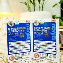 Bnr17 유산균 / 모유 500억 덴마크 유산균 이야기 LGG 락토바실러스가세리[비에날씬 택1], 15g, 모유 덴마크 유산균 1박스
