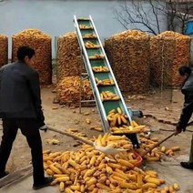 전동 상하차 콘베어 자동 컨베이어벨트 콘베이어 벨트, 3m 표준 컨베이어 벨트300mm