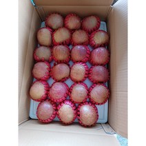 사과 경북사과 청도사과 10kg기준 젤 맛있고 저렴한 집, 중(10kg) 34~35개