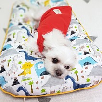 해피보이스 강아지 고양이 쿨 인견 방석 매트 바디필로우, 공룡