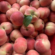 백도 황도 말랑이 딱딱이 털복숭아 대극천 납작 복숭아, 쫄깃단 황도 2.5kg(8~14과), 2.5kg, 1개
