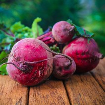 제주 레드비트 생비트 5kg 10kg 3kg