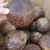 천연이온음료 야자코코넛 1개당 1kg내외, 9입