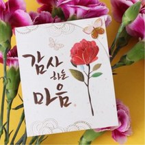 어버이날 감사 인사 카네이션 카드 20개 남자친구100일편지