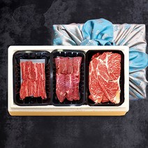 [참다올] 150년 전통한우 갈비살 혼합 특가세트1호(갈비살 앞치마 등심 각300g 총 0.9kg), 단품