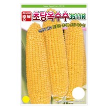 초당옥수수 옥수수씨앗 100립 아시아종묘 23년, 1개