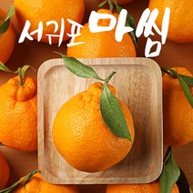 서귀포 첫수확 당도선별 고당도 한라봉 5kg 10kg, 한라봉 5kg 중과(17-24과)가정용