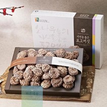 명절 표고 버섯 선물 세트 국내산 명품 부모님 추석 설 프리미엄