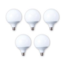 삼영전기 LED 볼 전구 E26, 10개, 주광색(하얀빛), [1등급]14W