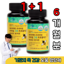 환절기 목 기관지 복합식품 입안 헐었을때 면력역 에좋은 영양제