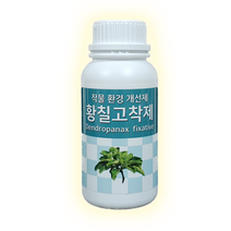 황칠고착제 500ml