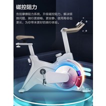 실내 헬스장 Yijian 회전 자전거 홈 모델 작은 체육관 체중 감량 페달 특수 스포츠 장비 D5, [02] 레귤러 에디션- 화이트-전통적인 제동 저항