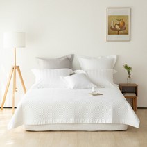 소프라움 [소프라움] 프리미에 면모달 스프레드 K