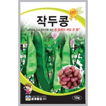 작두콩 씨앗 10립 제일 큰 크기를 자랑하며 영양소가 풍부한 콩 세계종묘, 1개
