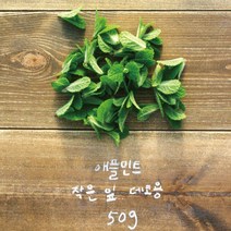 [논밭허브] 애플민트 생잎 작은 잎 50g/데코용, 1봉