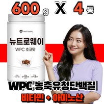 대용량 순도높은 농축유청단백분말 류신 로이신 분말 가루 wpc 먹는 초코맛 운동전 헬스전 후 부모님 남자 여자 프로틴 보충제 노인 성인 어른, 4통