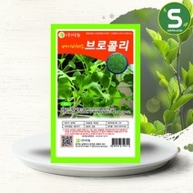 솔림텃밭몰 베이비브로콜리씨앗 10g 베이비채소 베이비브로콜리, 1개
