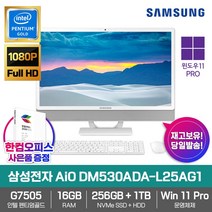 삼성전자 올인원PC DM530ADA-L25AG1 WIN11 PRO/펜티엄골드/G7505/RAM 16GB/NVMe 256GB/HDD 1TB/사무용/업무용/학생용/일체형/컴퓨터/PC