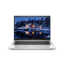 HP 2021 프로북 635 Aero 13 라이젠 3세대 4500U 8G 512G, WIN10 Pro, 실버, 8GB, 512GB, 라이젠5, 2Z8Y6PA