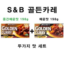 에스앤비 골든카레 중간매운맛 + 매운맛, 1세트, 198g