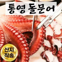 제철 통영 문어 자연산 돌문어 생문어 활문어 생물문어 통문어 제수용 제사용 1kg 2kg, 돌 문어 1.5kg, 1개