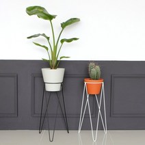 기타 바보사랑[럼버잭]플랜트스탠드 베이직M, 삼각베이직M화이트