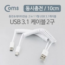 USB 3.1 케이블 (USB to Type C) Y형 스프링 10cm
