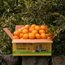 제주 고당도 햇 노지 감귤, 3kg 소과(2S), 1개
