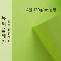 뉴씨플레인 종이문화 얇은 양면색지 120g 4절 낱장 1매 No.20 풀색, 1장