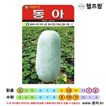 헬프팜 동아 동과 20립 씨앗 종자 아람종묘, 1개