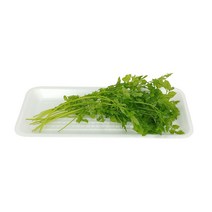 그린팜 생 처빌 약 10g 1팩, 단품