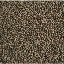 중국산 들깨 1kg 추가200g증정 특A/2022년 햇들깨 수입산 들깨 길림들깨, 1kg+(200g)